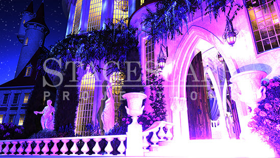 Castle Exterior | Static