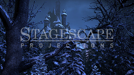Cursed Castle Beyond the Winter Forest | Static