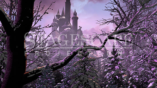 Cursed Castle Beyond the Winter Forest | Static