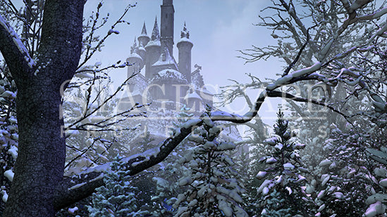 Cursed Castle Beyond the Winter Forest | Static