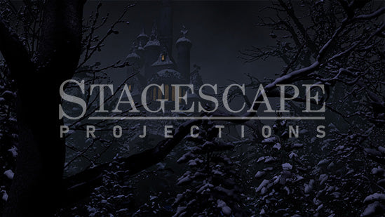 Cursed Castle Beyond the Winter Forest | Static