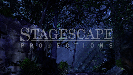 Dark Forest Path | Static