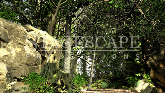 Dark Forest Path | Static