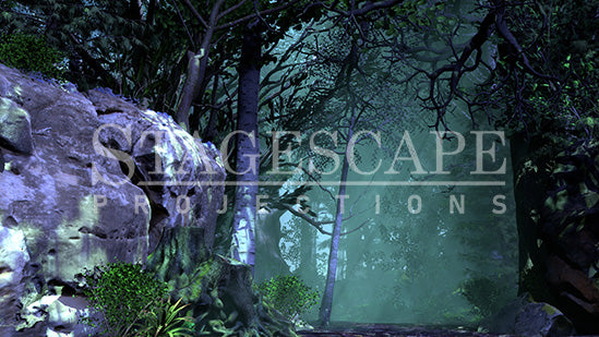 Dark Forest Path | Static