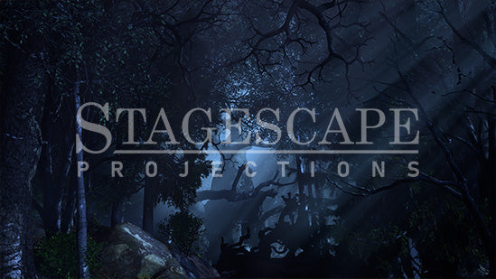 Dark Ominous Forest | Static