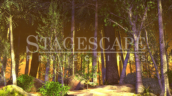 Peaceful Woodlands | Static