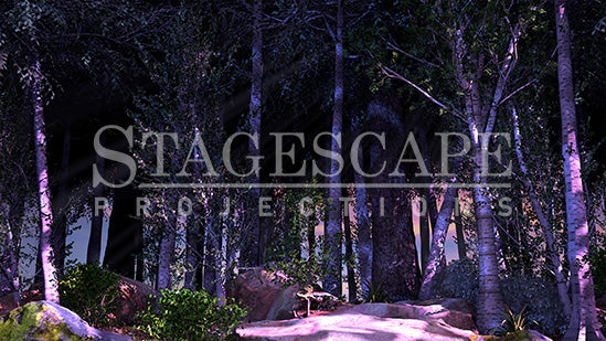 Peaceful Woodlands | Static