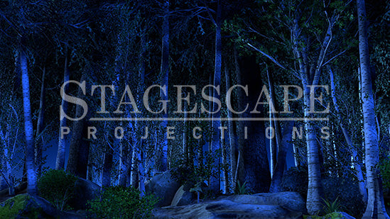 Peaceful Woodlands | Static