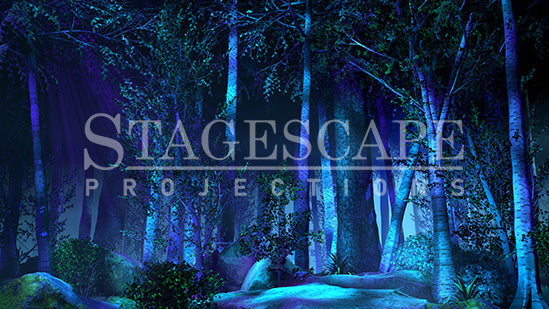 Peaceful Woodlands | Static