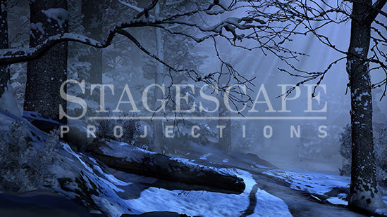 Winter Forest Clearing | Static