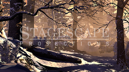 Winter Forest Clearing | Static