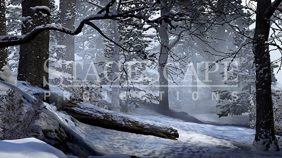 Winter Forest Clearing | Static