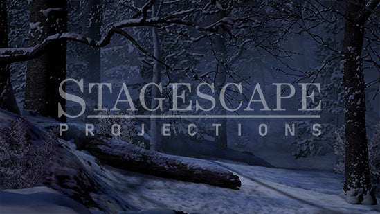 Winter Forest Clearing | Static