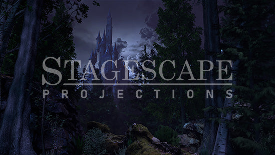 Cursed Castle Beyond the Forest