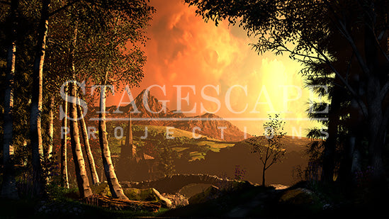 French Clearing Landscape