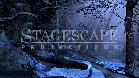 Winter Forest Clearing