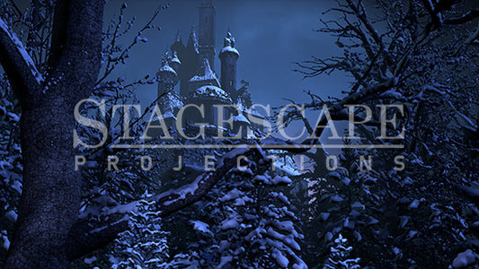 Cursed Castle Beyond the Winter Forest | Static