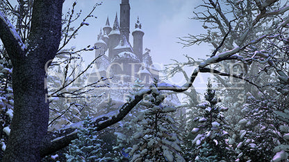 Cursed Castle Beyond the Winter Forest | Static