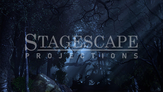 Dark Ominous Forest | Static