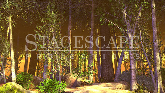 Peaceful Woodlands | Static