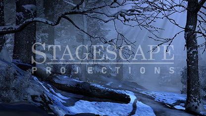 Winter Forest Clearing | Static
