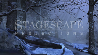 Winter Forest Clearing | Animation