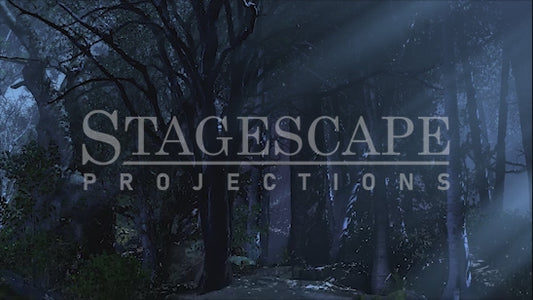 Dark Ominous Forest | SFX