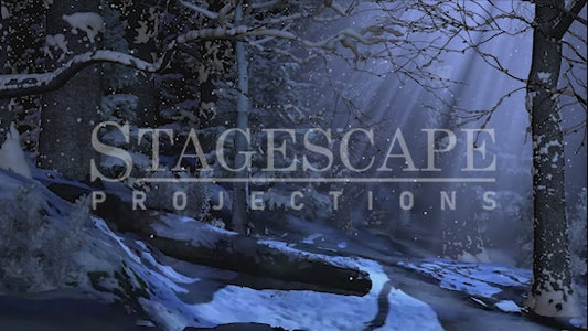 Winter Forest Clearing | Animation