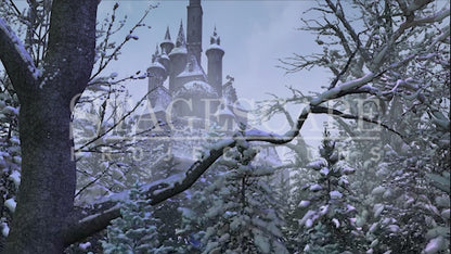 Cursed Castle Beyond the Winter Forest | Animated
