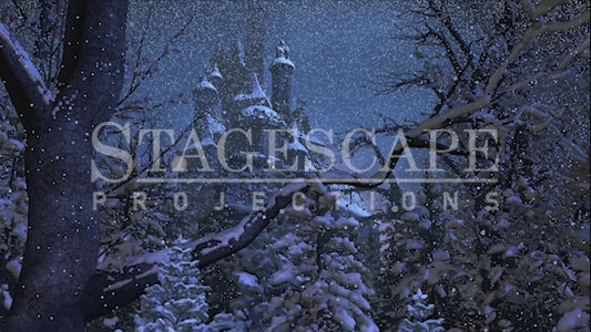 Winter Forest Clearing | SFX