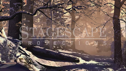 Winter Forest Clearing | Animation