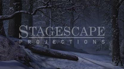 Winter Forest Clearing | Animation