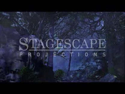 Dark Forest Path | Animated