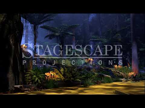 The Wild Forest 1 | Animated