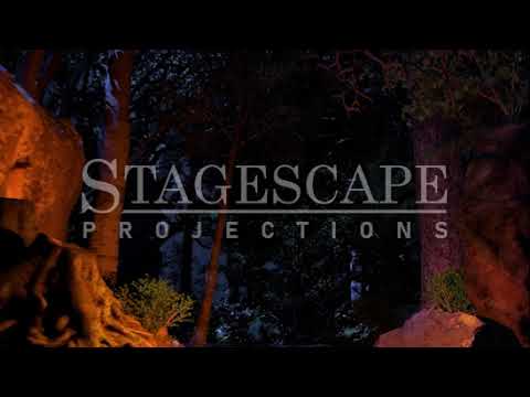 Dark Forest Path | SFX