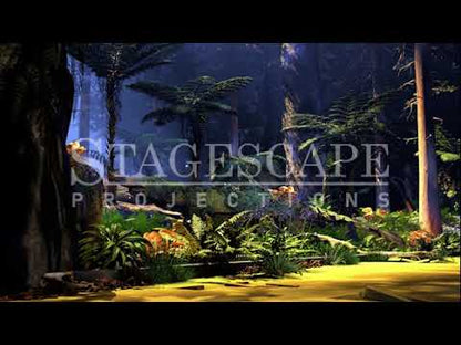The Wild Forest 1 | Animated