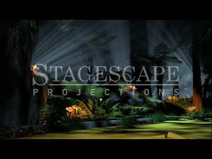 The Wild Forest 1 | Animated