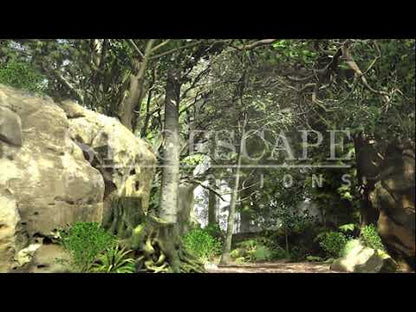Dark Forest Path | Animated