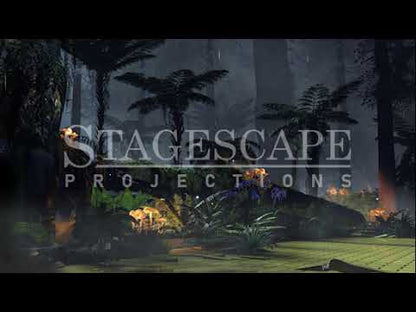 The Wild Forest 1 | Animated