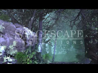 Dark Forest Path | Animated