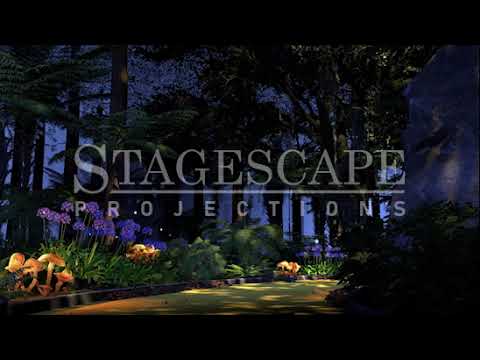 The Wild Forest 1 | SFX 1