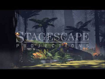 The Wild Forest 1 | Animated