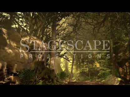Dark Forest Path | Animated